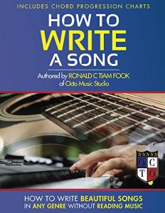 Download How To Write a Song: How to write beautiful songs in any genre without reading music. pdf, epub, ebook