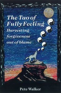 Download The Tao of Fully Feeling: Harvesting Forgiveness out of Blame pdf, epub, ebook