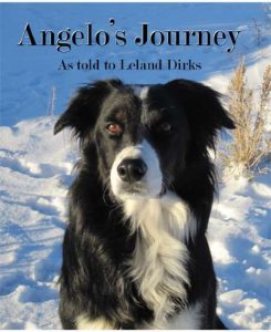 Download Angelo’s Journey: A Border Collie’s Quest for Home pdf, epub, ebook