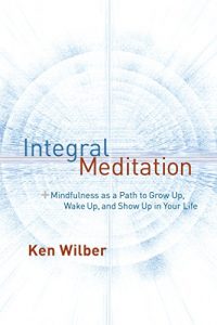 Download Integral Meditation: Mindfulness as a Way to Grow Up, Wake Up, and Show Up in Your Life pdf, epub, ebook