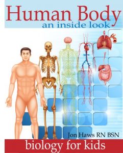 Download Human Body: Human Anatomy for Kids an Inside Look at Body Organs pdf, epub, ebook