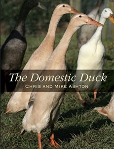 Download Domestic Duck pdf, epub, ebook