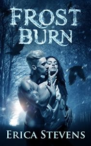 Download Frost Burn (The Fire and Ice Series, Book 1) pdf, epub, ebook