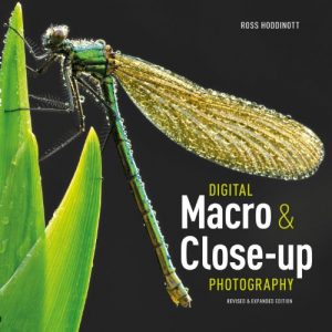 Download Digital Macro & Close-up Photography: Revised &Expanded Edition pdf, epub, ebook