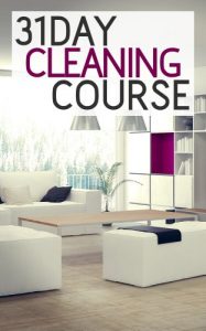 Download 31 Day Cleaning Course: How To Organize, Clean, And Keep Your Home Spotless pdf, epub, ebook