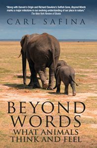 Download Beyond Words: What Animals Think and Feel pdf, epub, ebook