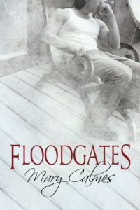 Download Floodgates pdf, epub, ebook