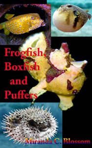 Download Under the Sea: Frogfish, Boxfish and Puffers pdf, epub, ebook