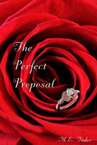 Download The Perfect Proposal: A Sequel to The Wrong Place at the Right Time pdf, epub, ebook