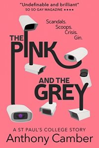 Download The Pink and the Grey pdf, epub, ebook