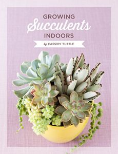 Download Growing Succulents Indoors: A detailed guide for taking care of your succulents indoors (Succulent Care by Succulents and Sunshine Book 2) pdf, epub, ebook