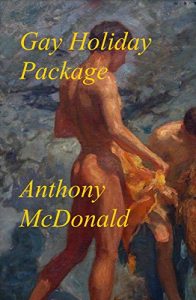 Download Gay Holiday Package: Three Romantic Novels: Spring Sonata; The Paris Novel; The Van Gogh Window pdf, epub, ebook