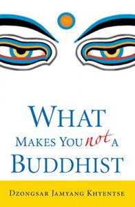 Download What Makes You Not a Buddhist pdf, epub, ebook