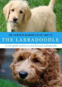 Download The Labradoodle: A vet’s guide on how to care for your Labradoodle pdf, epub, ebook