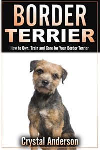 Download Border Terrier: How to Own, Train and Care for Your Border Terrier pdf, epub, ebook