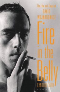 Download Fire in the Belly: The Life and Times of David Wojnarowicz pdf, epub, ebook