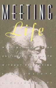 Download Meeting Life pdf, epub, ebook