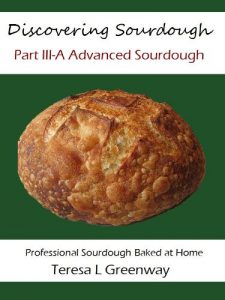 Download Discovering Sourdough Part III-A Advanced Sourdough pdf, epub, ebook