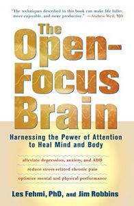 Download The Open-Focus Brain: Harnessing the Power of Attention to Heal Mind and Body pdf, epub, ebook