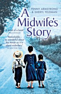 Download A Midwife’s Story pdf, epub, ebook