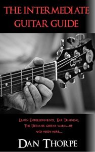 Download The Intermediate Guitar Guide: Learn Embellishments, Ear Training, The Ultimate Warm-Up and More… pdf, epub, ebook