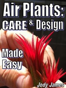 Download Air Plants: Care and Design Made Easy pdf, epub, ebook