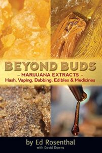 Download Beyond Buds: Marijuana Extracts—Hash, Vaping, Dabbing, Edibles and Medicines pdf, epub, ebook