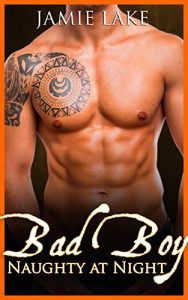 Download BOOK 1 – Bad Boy | Gay Romance MM Boyfriend Series: Bad Boy: Naughty at Night Gay Romance Novels (Bad Boy: Naughty at Night Gay Romance Books) pdf, epub, ebook