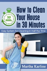 Download How to Clean Your House in 30 Minutes: Easy System for Cleaning in Half the Time pdf, epub, ebook