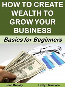 Download How to Create Wealth to Grow Your Business (Business Basics for Beginners Book 11) pdf, epub, ebook