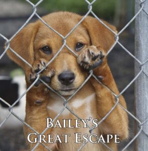 Download Bailey’s Great Escape (A Cute Dog Story) pdf, epub, ebook