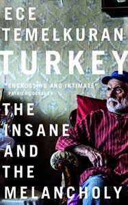 Download Turkey: The Insane and the Melancholy pdf, epub, ebook