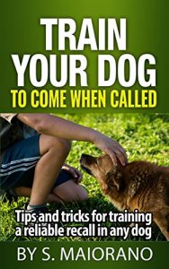 Download Train Your Dog To Come When Called: Tips and tricks for training a reliable recall in any dog pdf, epub, ebook