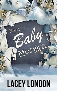 Download Meet Baby Morgan: A new mother, a new home and a new neighbour with a sizzling secret. (Clara Andrews Book 5) pdf, epub, ebook