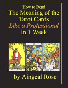 Download How to Read The Meaning of the Tarot Cards Like a Professional In 1 Week pdf, epub, ebook