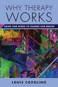 Download Why Therapy Works: Using Our Minds to Change Our Brains (Norton Series on Interpersonal Neurobiology) pdf, epub, ebook