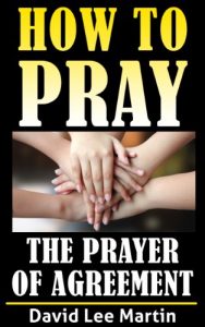 Download The Prayer of Agreement (How To Pray Book 7) pdf, epub, ebook