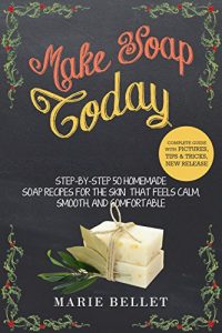 Download Make Soap Today: Step-By-Step 50 Homemade Soap Recipes for the Skin That Feels Calm, Smooth, and Comfortable pdf, epub, ebook