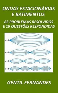 Download ONDAS ESTACIONÁRIAS E BATIMENTO: 62 PROBLEMAS RESOLVIDOS E 19 QUESTÕES RESPONDIDAS (Portuguese Edition) pdf, epub, ebook