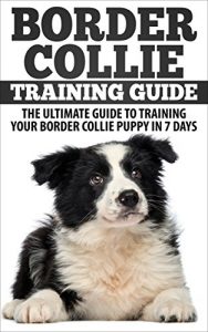 Download Border Collie Training Guide: The Ultimate Guide To Training Your Border Collie Puppy In 7 days pdf, epub, ebook