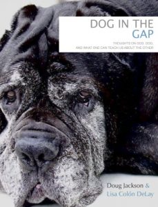 Download Dog in the Gap: Brief Explorations in Canine Care-Taking and Human Flourishing pdf, epub, ebook