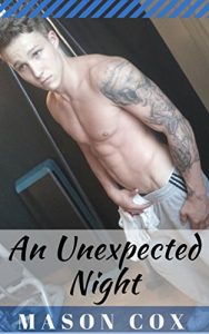 Download An Unexpected Night pdf, epub, ebook