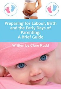 Download Preparing for Labour, Birth and the Early Days of Parenting: A Brief Guide pdf, epub, ebook