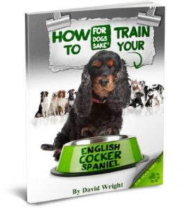 Download How to Train your English Cocker Spaniel pdf, epub, ebook