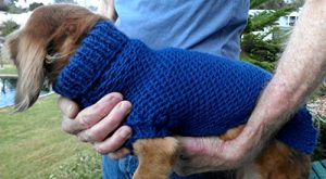 Download Lena’s Easy Ripple Stitch Miniature Dachshund Sweater: Fits Miniature Dachshunds with Chest Circumference 15″/38 cm to 18″/46 cm, Length 15″/38 cm or As Desired pdf, epub, ebook