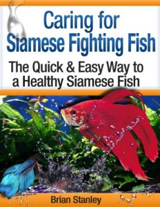 Download Caring for Siamese Fighting Fish: Betta Splendens pdf, epub, ebook