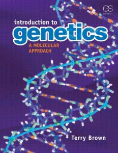 Download Introduction to Genetics: A Molecular Approach pdf, epub, ebook