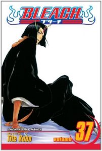 Download Bleach, Vol. 37: Beauty Is So Solitary pdf, epub, ebook