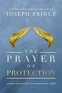 Download The Prayer of Protection: Living Fearlessly in Dangerous Times pdf, epub, ebook