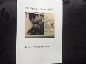 Download The Wings of  a Broken Angel pdf, epub, ebook